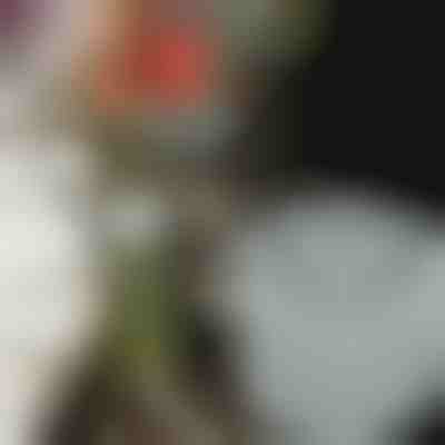 Portafiori per composizioni di grande effetto (3 pezzi) | VASEKA