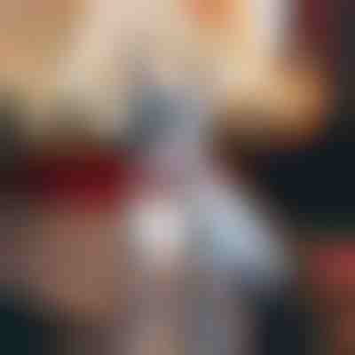 Collare per cani con fiocco di neve | DOGICOLLAR