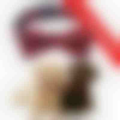 2 x Collare per cani con fiocchi di neve | DOGICOLLAR