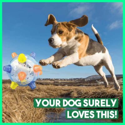 Palla Interattiva Rimbalzante per Cani - Rimbalzo Automatico, Luci e Suoni | ACTIBALL